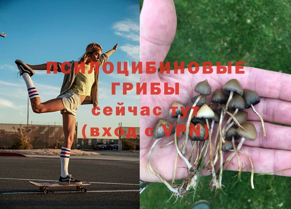 марки lsd Белоозёрский