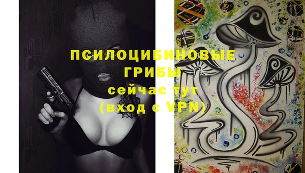 прущая мука Белокуриха